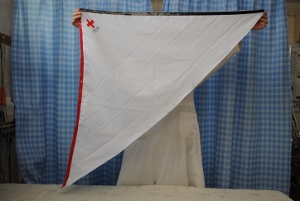 DSC_0001 (300x201).jpg