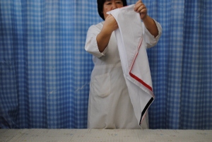 DSC_0011 (300x201).jpg