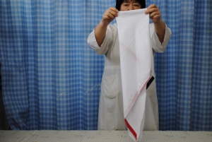 DSC_0012 (300x201).jpg