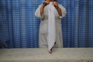 DSC_0015 (300x201).jpg