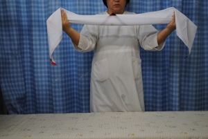 DSC_0016 (300x201).jpg